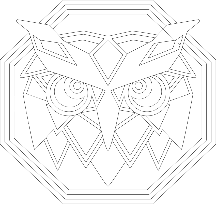 Geometrik Baykuş 1