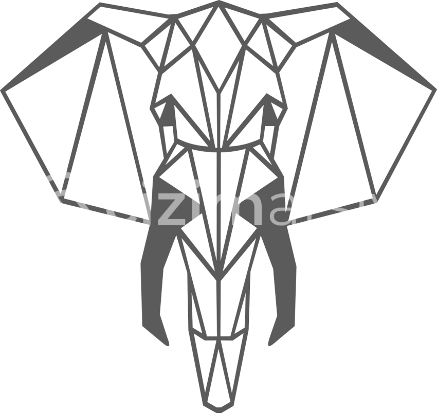 Geometrik Fil