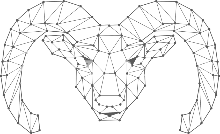 Geometrik Koç