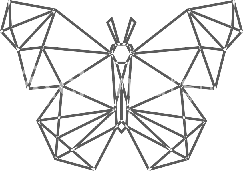 Geometrik Kelebek