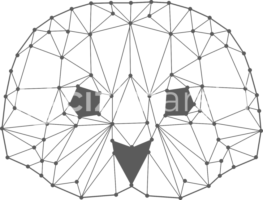 Geometrik Fok