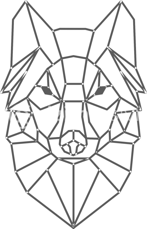 Geometrik kurt 4