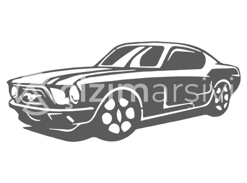 Arabalar (1)