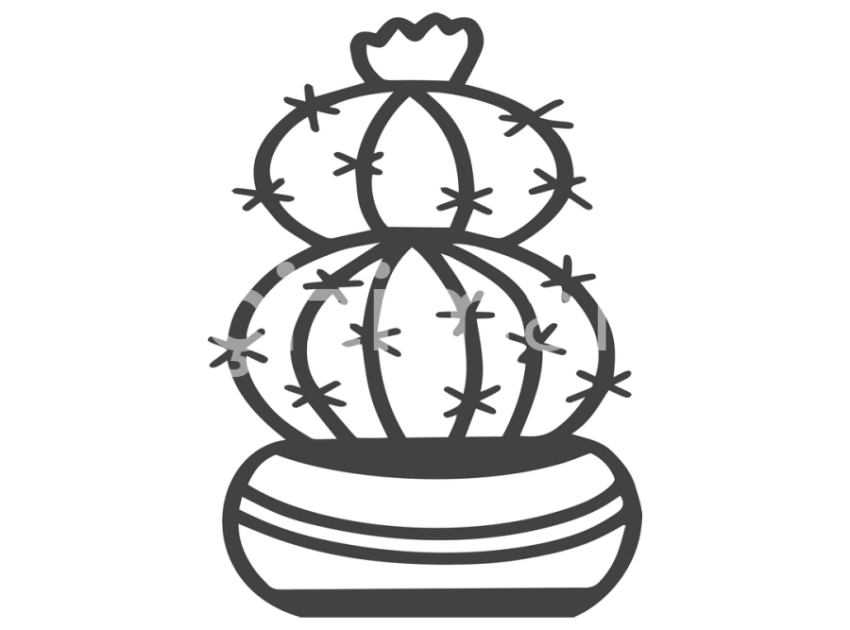 cicek-ve-kaktusler-(12)