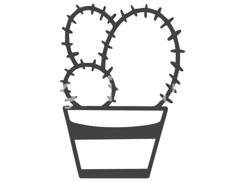 cicek-ve-kaktusler-(15)