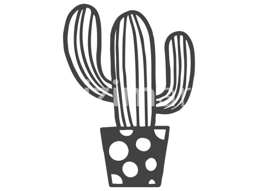 cicek-ve-kaktusler-(16)