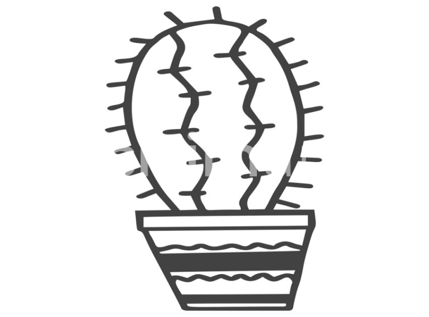 cicek-ve-kaktusler-(17)