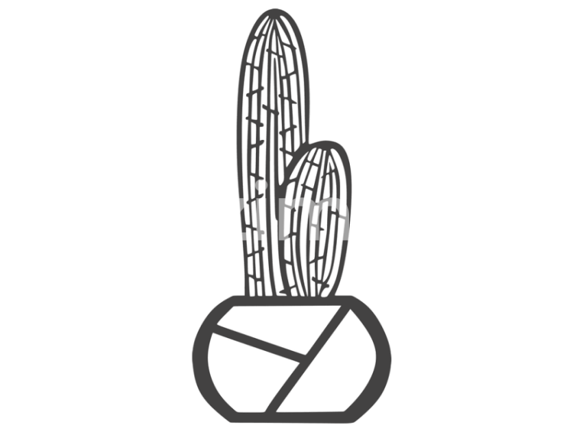 cicek-ve-kaktusler-(19)
