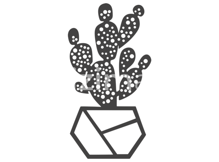 cicek-ve-kaktusler-(20)