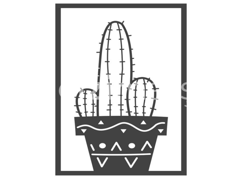 cicek-ve-kaktusler-(22)