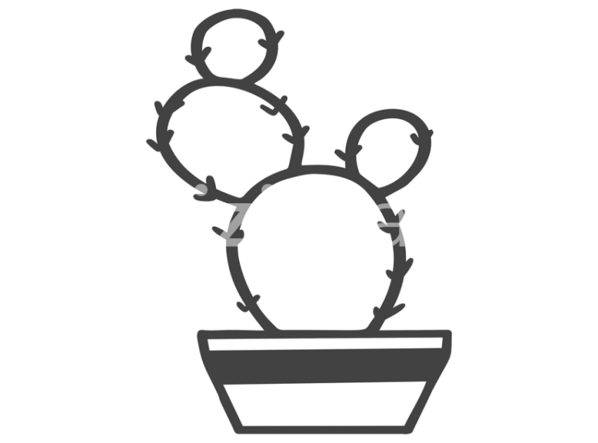 cicek-ve-kaktusler-(8)