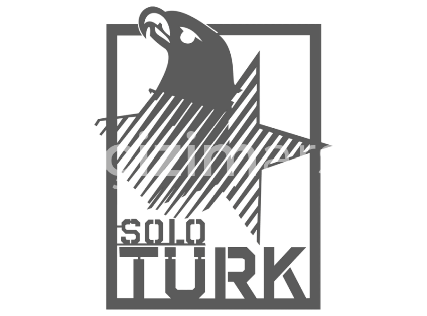 1-Solo-Turk