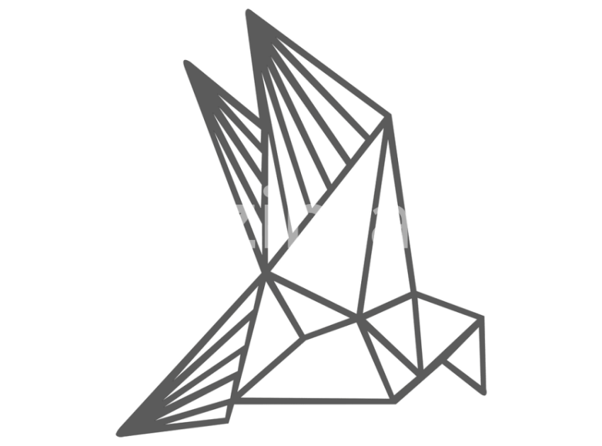 128-Geometrik-Kus