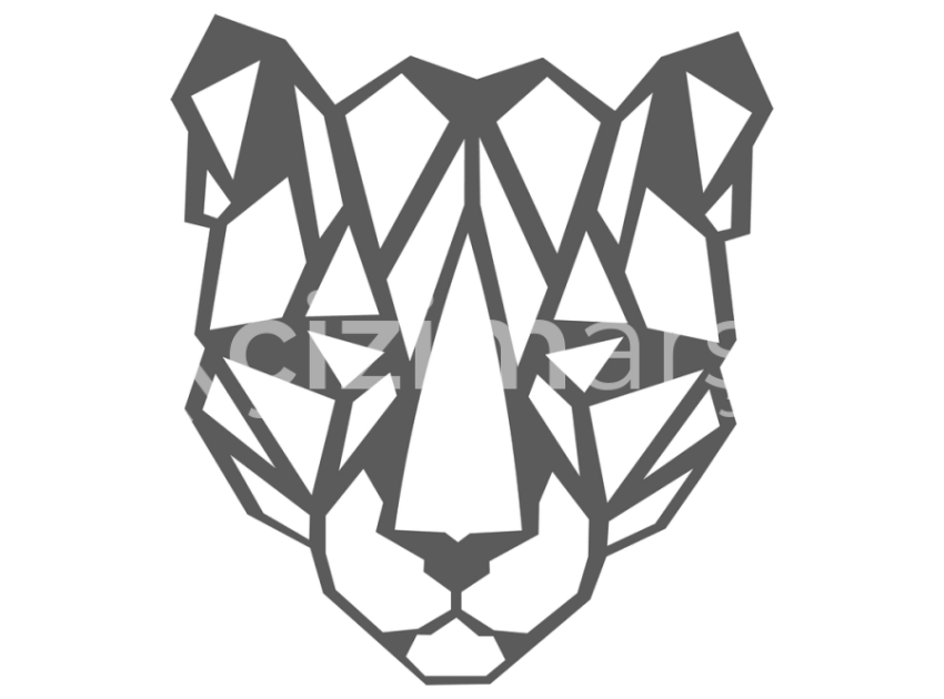135-Geometrik-Cita
