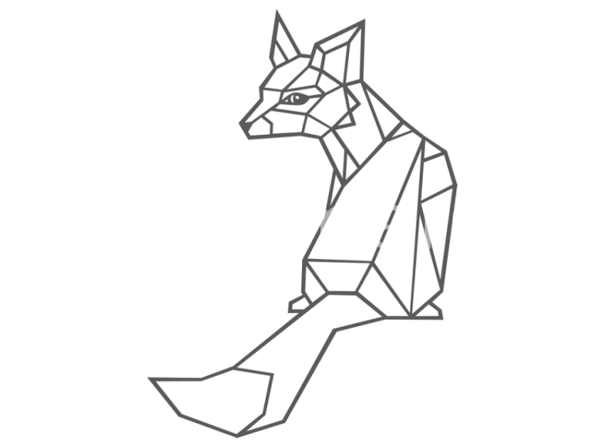 138-Geometrik-Tilki