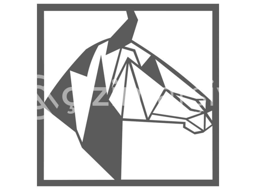 151-Geometrik-At