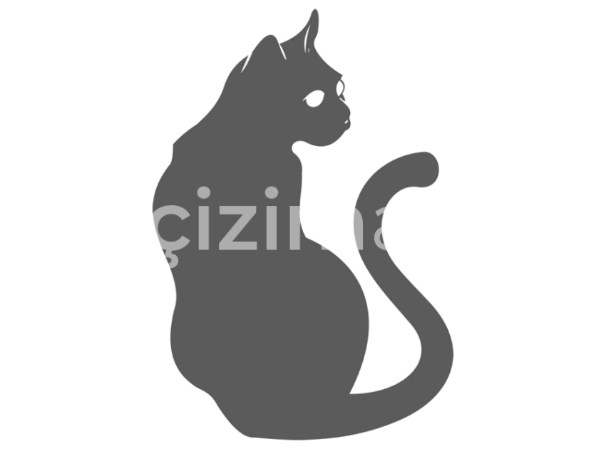 172-Kedi