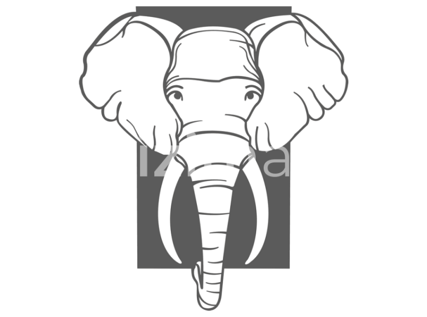 35-Fil