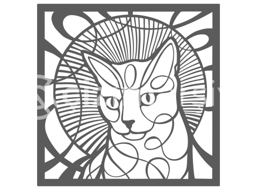 67-Kedi