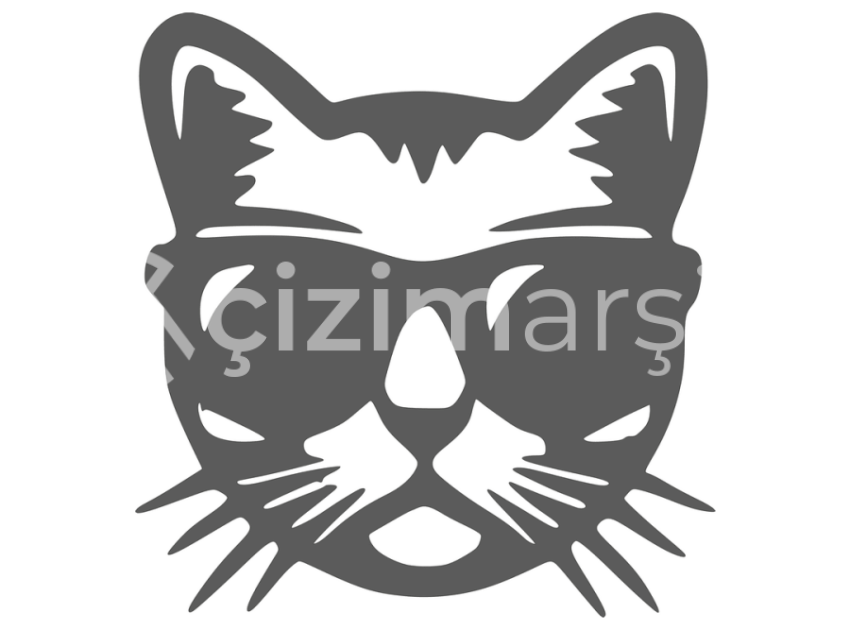 Kedi-Bay-Cat