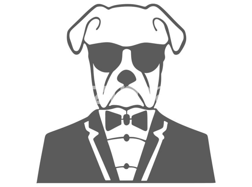 Kopek-Bay-Dog