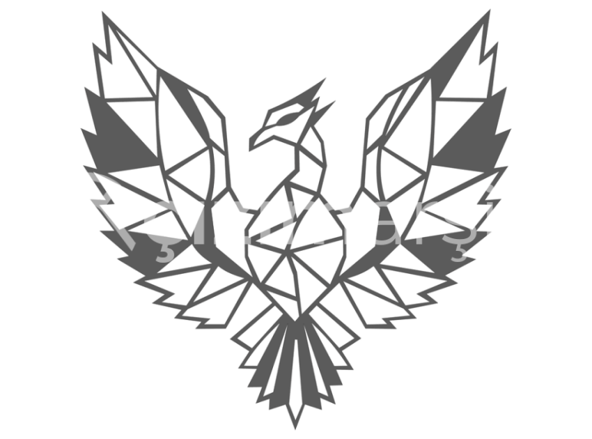 85-Geometrik-Anka-Kusu