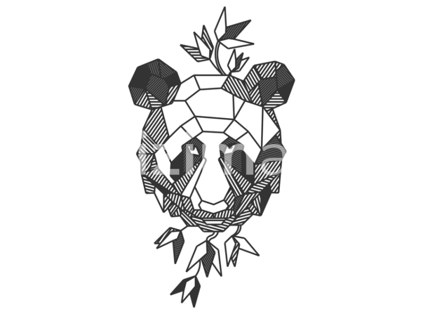 Panda 1