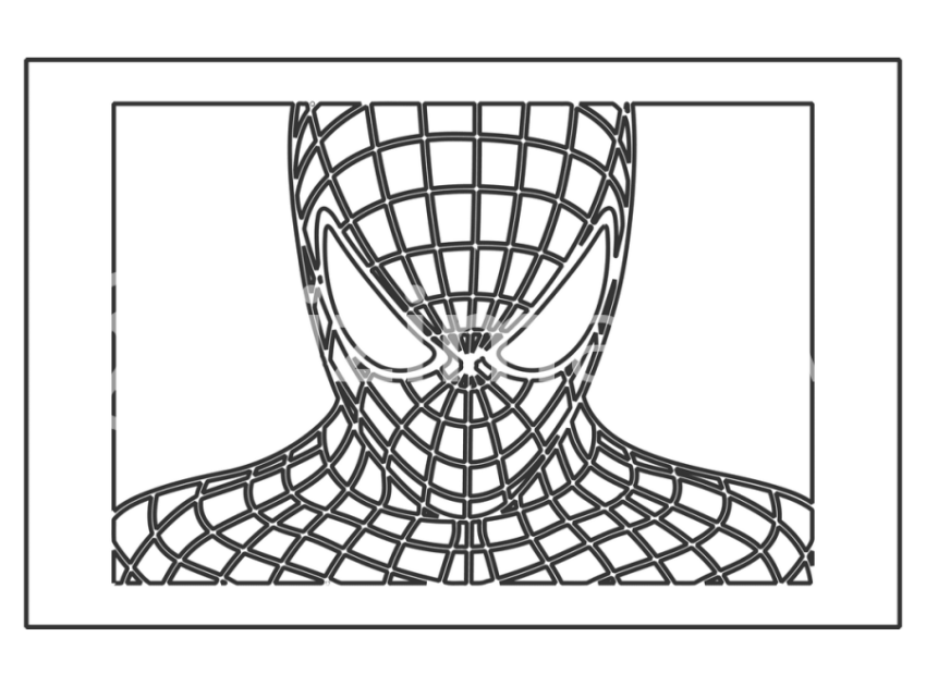 Spider 2