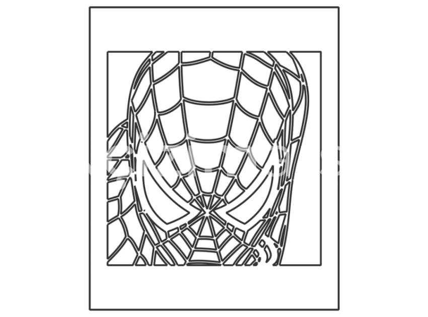 Spider 5