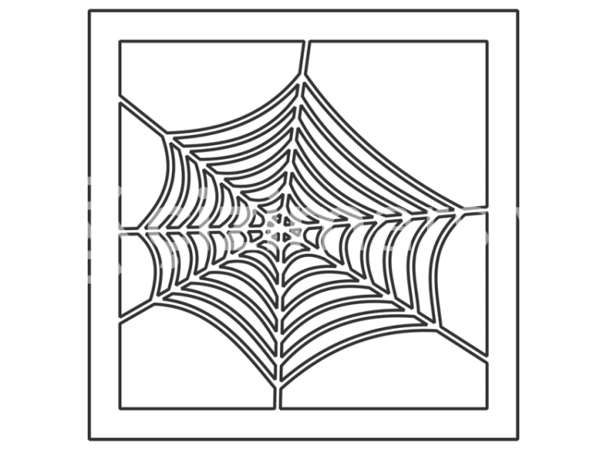 Spider Ağ