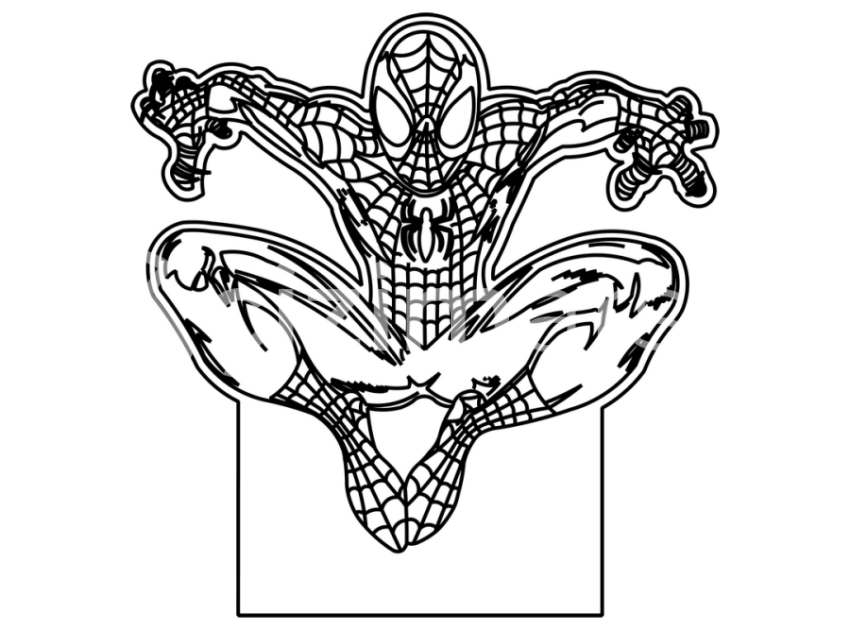 Spider