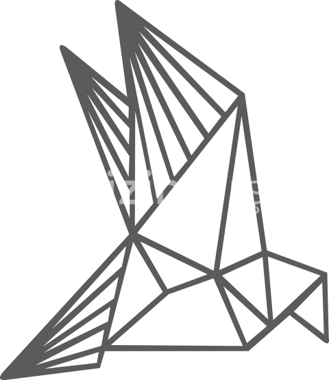 Geometrik kuş