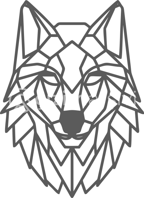 Geometrik kurt 1
