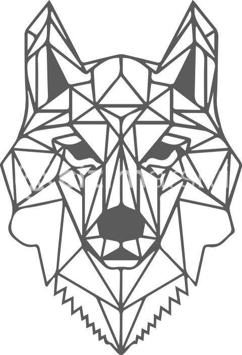 Geometrik kurt 3