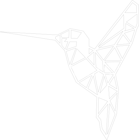 Geometrik Sinek Kuşu