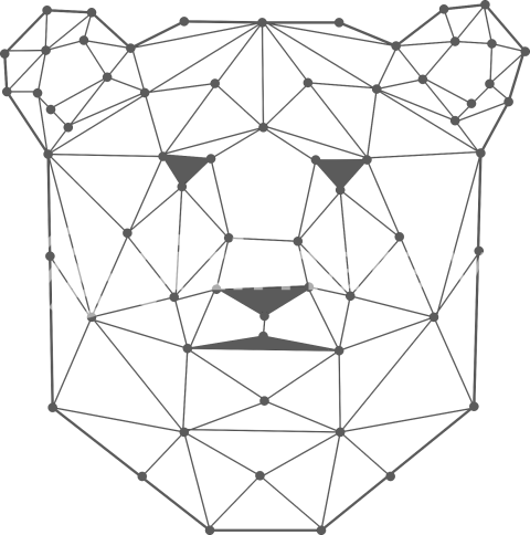 Geometrik Ayı