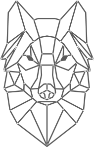 Geometrik kurt 4