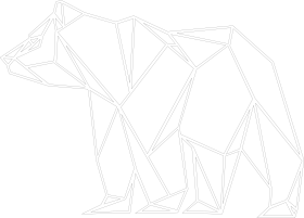 Geometrik Kutup Ayısı