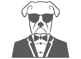 Kopek-Bay-Dog