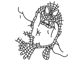 Spider 4
