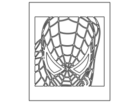 Spider 5