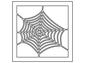 Spider Ağ